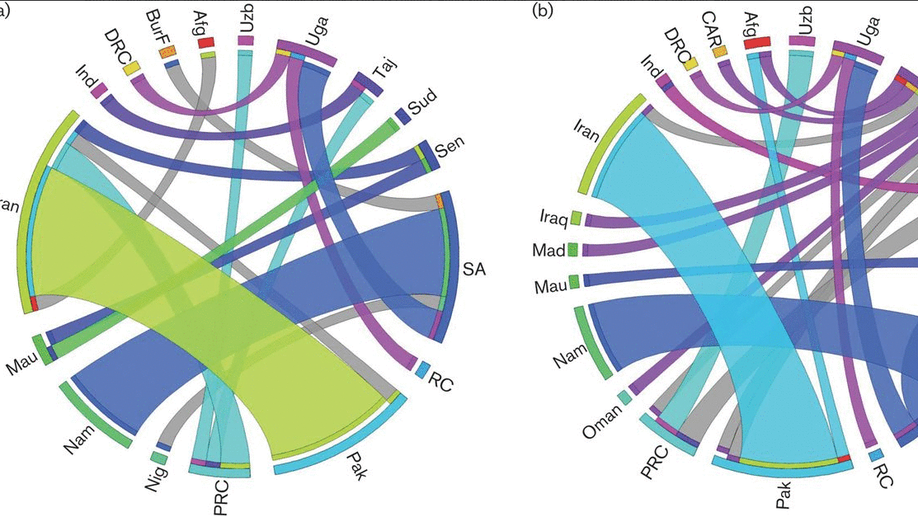 Reassortment and migration analysis of Crimean–Congo haemorrhagic fever virus